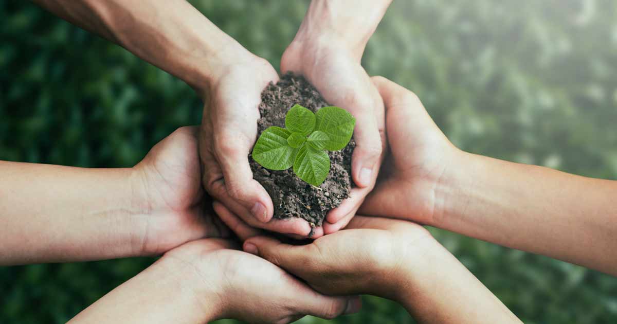 Leistungen Netzwerk und Kooperationen für Fachkräfte Strategien